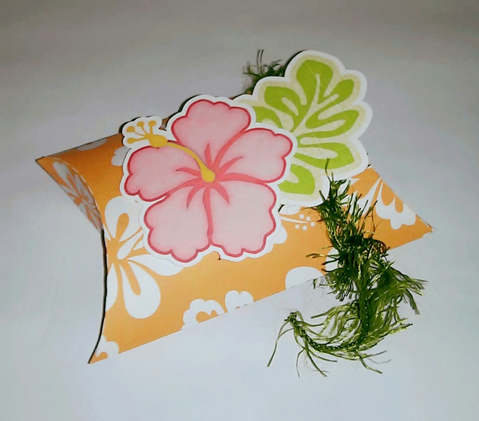 Caixa travesseiro Moana