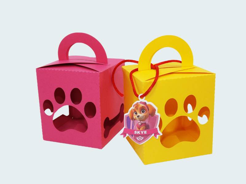 CAIXA VISOR 2 Patrulha Canina Skye e Everest